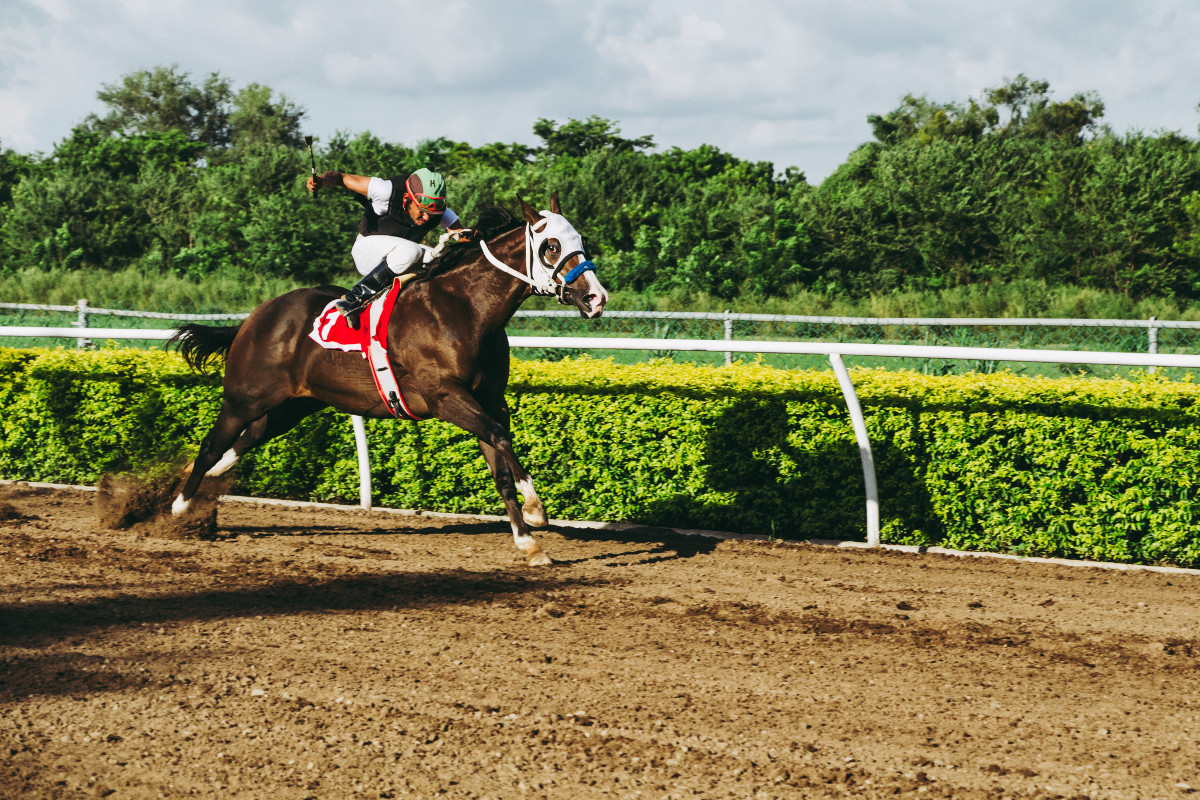 January Barometer: Trifecta Up 3-For-3 Bullish for 2019